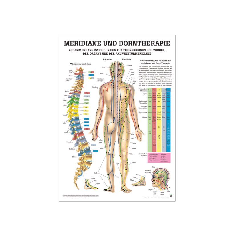 Lerntafel Meridiane und Dorntherapie