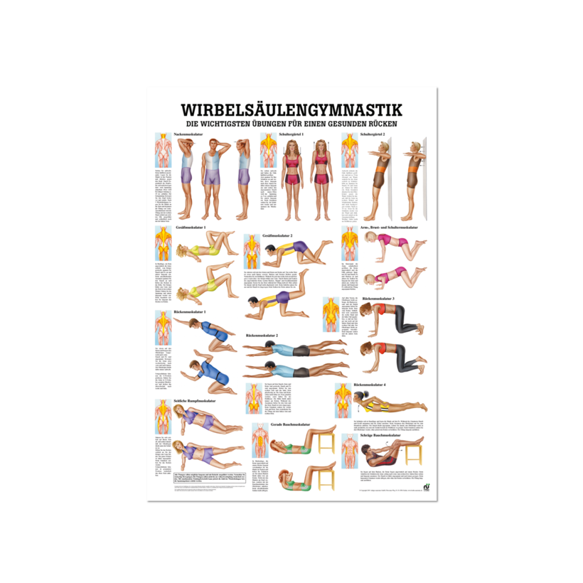 Lerntafel Wirbelsäulengymnastik